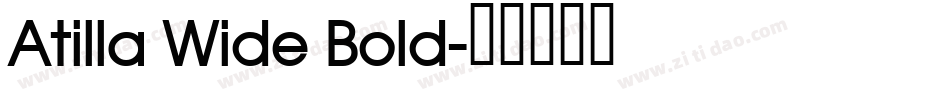Atilla Wide Bold字体转换